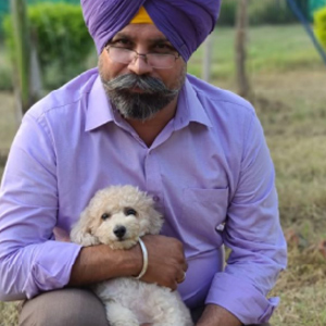 working canine training in punjab