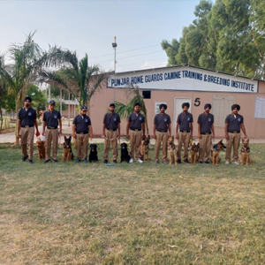 working canine training in punjab
