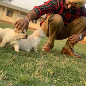 Canine Team at PHG-CTBI, Dera Bassi, Punjab