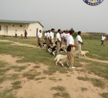 Canine Training at Chandigarh, Punjab