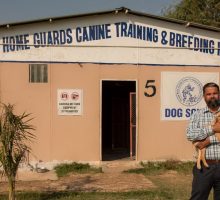 Canine Training at PHG-CTBI